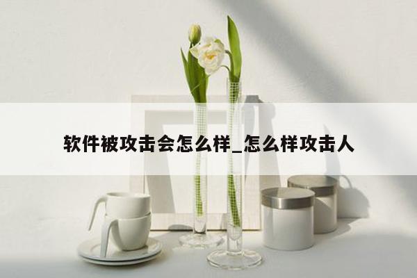 软件被攻击会怎么样_怎么样攻击人