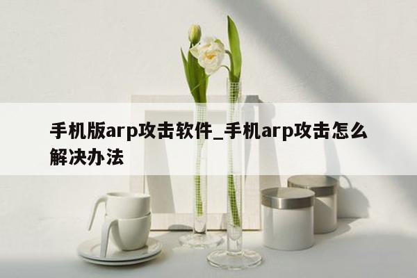 手机版arp攻击软件_手机arp攻击怎么解决办法