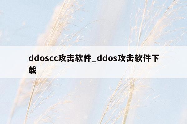 ddoscc攻击软件_ddos攻击软件下载