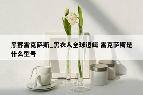 黑客雷克萨斯_黑衣人全球追缉 雷克萨斯是什么型号