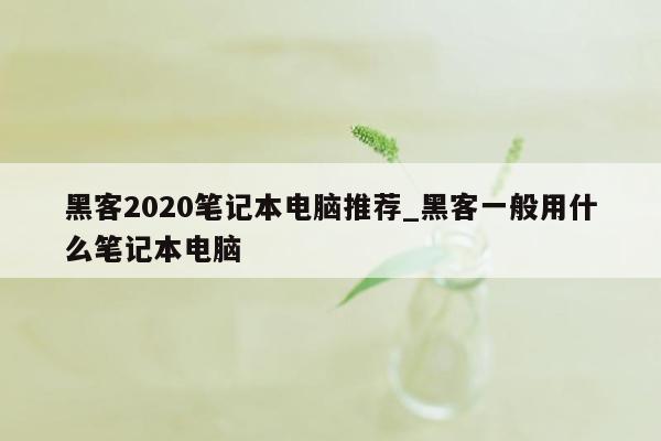 黑客2020笔记本电脑推荐_黑客一般用什么笔记本电脑