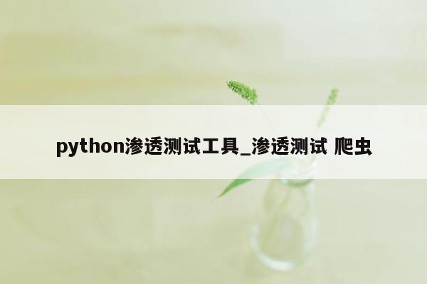 python渗透测试工具_渗透测试 爬虫