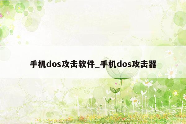 手机dos攻击软件_手机dos攻击器