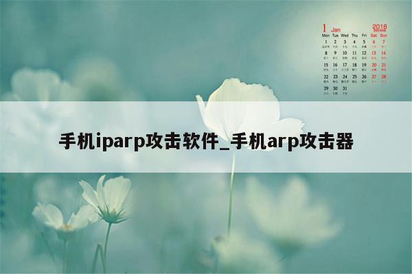 手机iparp攻击软件_手机arp攻击器