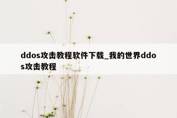 ddos攻击教程软件下载_我的世界ddos攻击教程