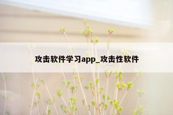 攻击软件学习app_攻击性软件