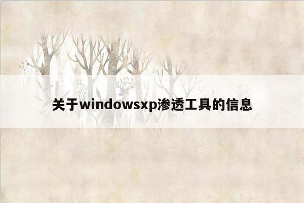 关于windowsxp渗透工具的信息