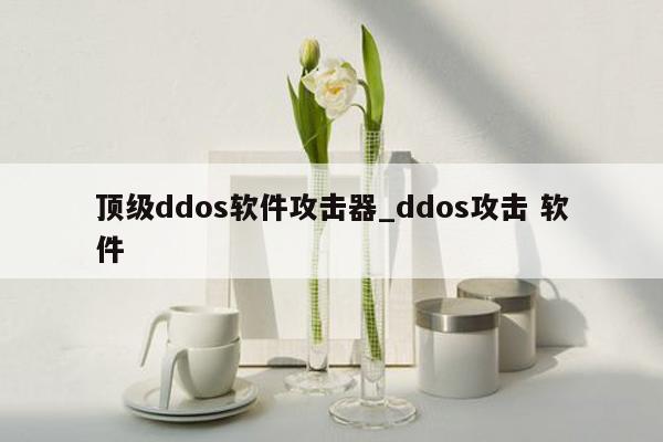 顶级ddos软件攻击器_ddos攻击 软件