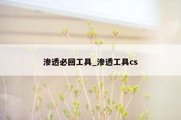 渗透必回工具_渗透工具cs