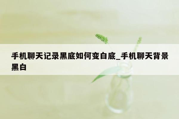 手机聊天记录黑底如何变白底_手机聊天背景黑白