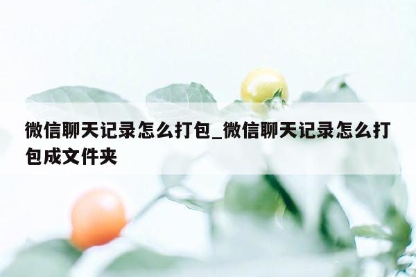 微信聊天记录怎么打包_微信聊天记录怎么打包成文件夹