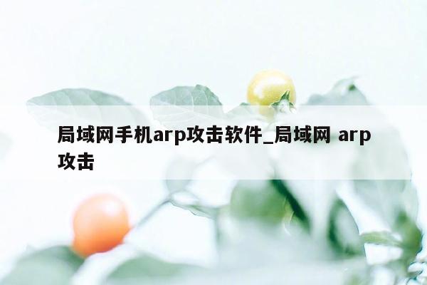 局域网手机arp攻击软件_局域网 arp攻击