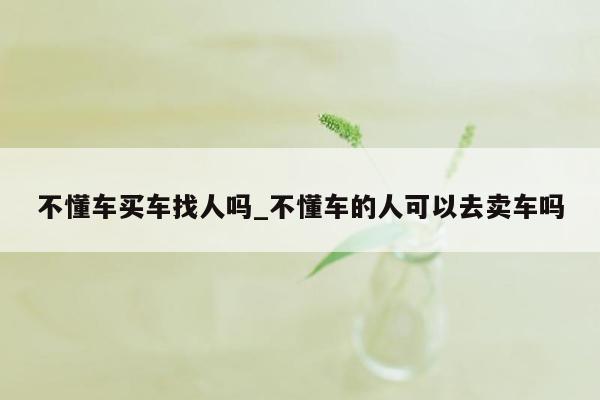 不懂车买车找人吗_不懂车的人可以去卖车吗