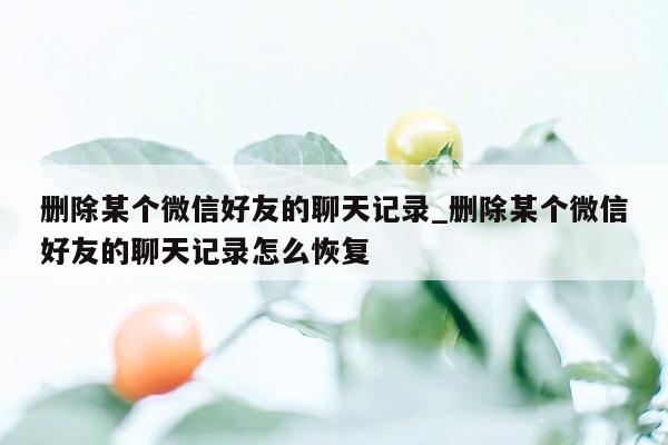 删除某个微信好友的聊天记录_删除某个微信好友的聊天记录怎么恢复