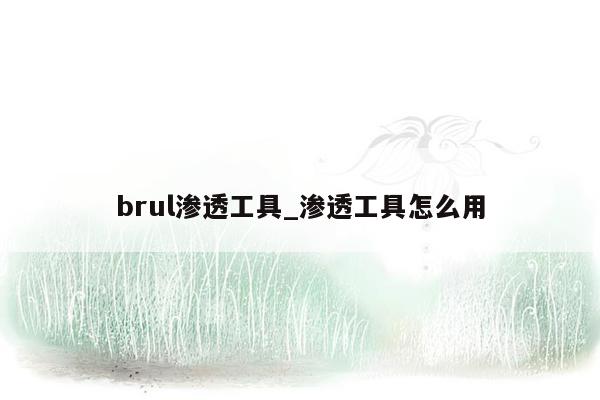 brul渗透工具_渗透工具怎么用