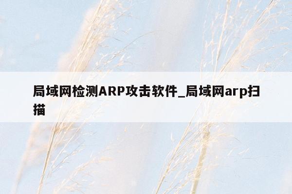 局域网检测ARP攻击软件_局域网arp扫描