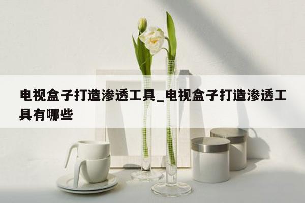 电视盒子打造渗透工具_电视盒子打造渗透工具有哪些