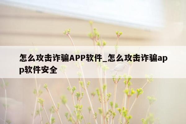 怎么攻击诈骗APP软件_怎么攻击诈骗app软件安全