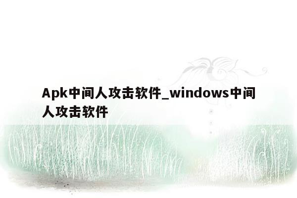 Apk中间人攻击软件_windows中间人攻击软件