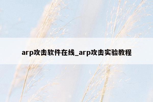 arp攻击软件在线_arp攻击实验教程