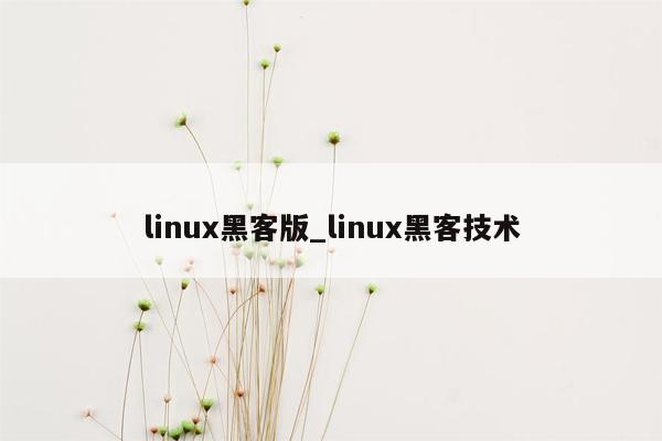 linux黑客版_linux黑客技术