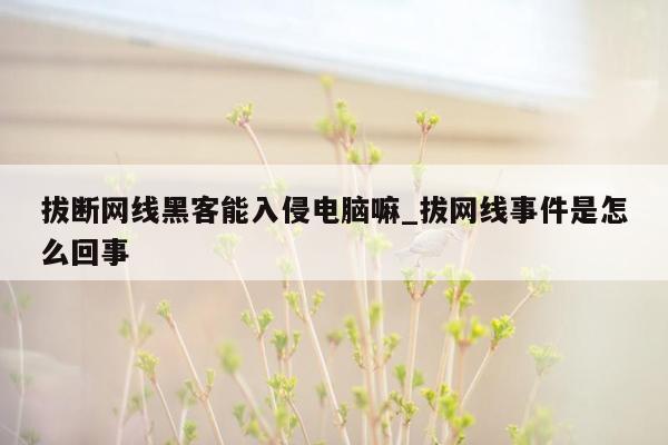 拔断网线黑客能入侵电脑嘛_拔网线事件是怎么回事