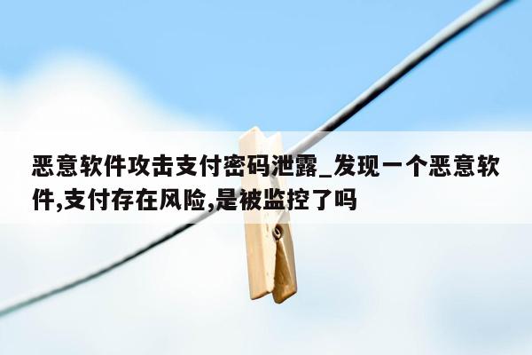 恶意软件攻击支付密码泄露_发现一个恶意软件,支付存在风险,是被监控了吗