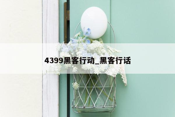 4399黑客行动_黑客行话