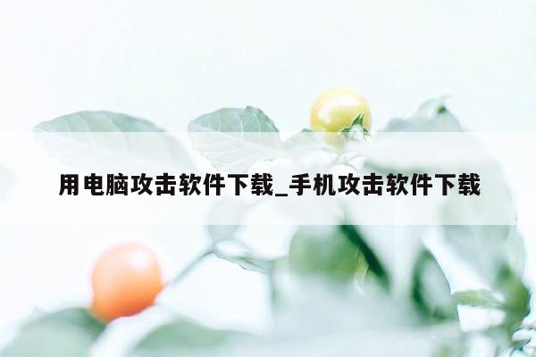 用电脑攻击软件下载_手机攻击软件下载