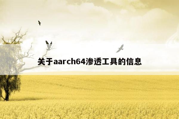 关于aarch64渗透工具的信息