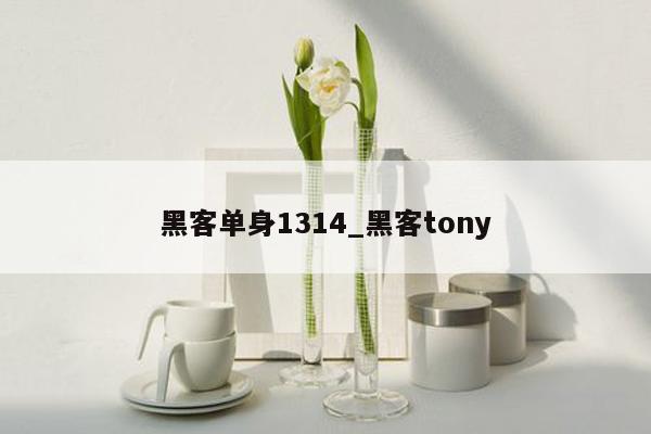 黑客单身1314_黑客tony