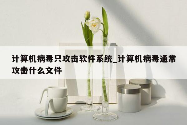 计算机病毒只攻击软件系统_计算机病毒通常攻击什么文件