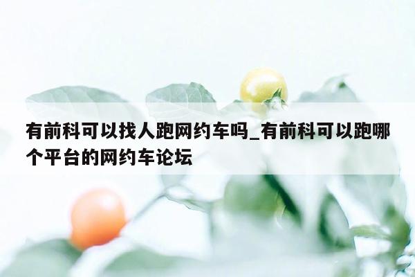 有前科可以找人跑网约车吗_有前科可以跑哪个平台的网约车论坛