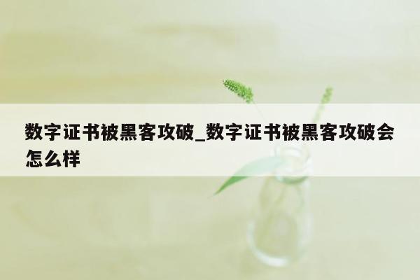 数字证书被黑客攻破_数字证书被黑客攻破会怎么样