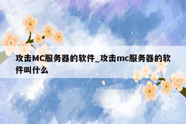 攻击MC服务器的软件_攻击mc服务器的软件叫什么