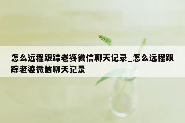 怎么远程跟踪老婆微信聊天记录_怎么远程跟踪老婆微信聊天记录