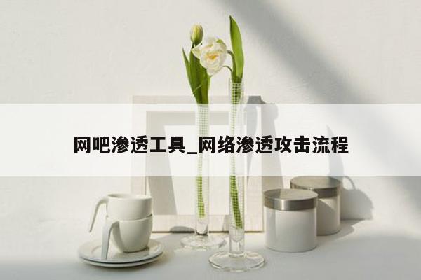 网吧渗透工具_网络渗透攻击流程