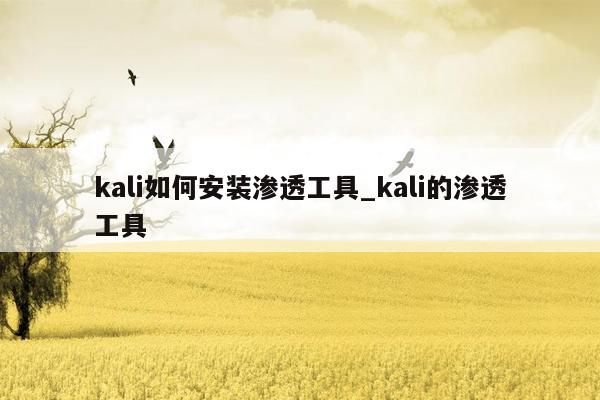 kali如何安装渗透工具_kali的渗透工具