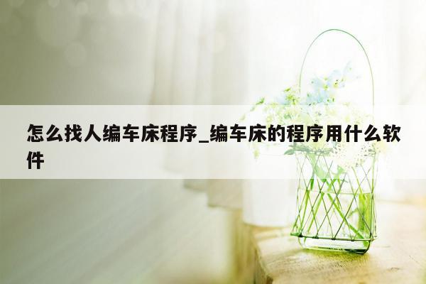 怎么找人编车床程序_编车床的程序用什么软件